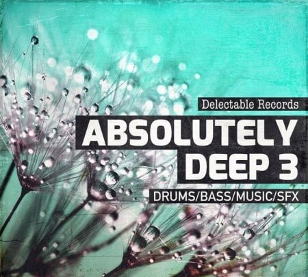 Delectable Records Absolutely Deep 03 MULTiFORMAT